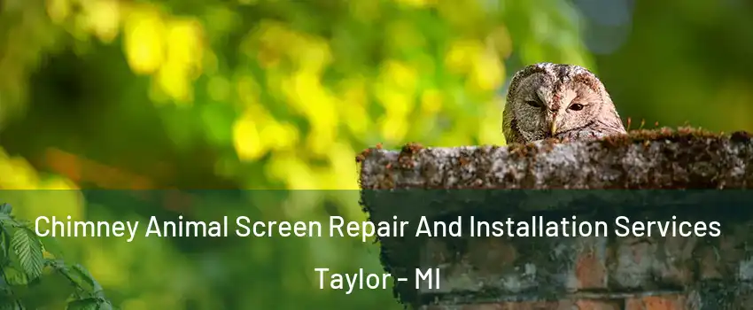  Chimney Animal Screen Repair And Installation Services Taylor - MI