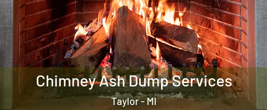  Chimney Ash Dump Services Taylor - MI