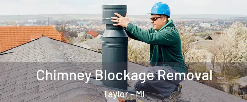 Chimney Blockage Removal Taylor - MI