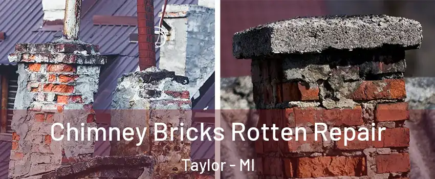  Chimney Bricks Rotten Repair Taylor - MI
