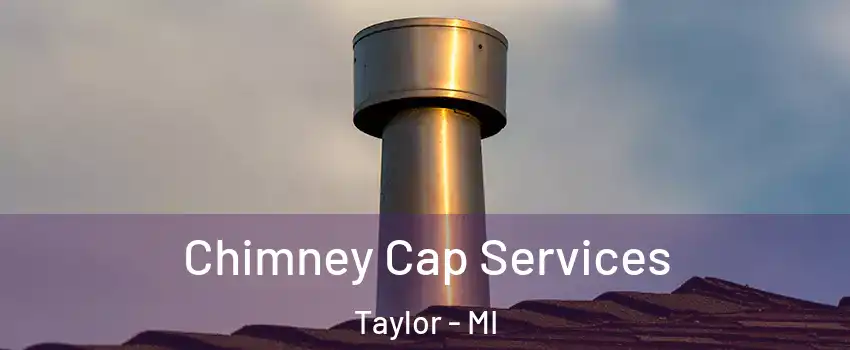  Chimney Cap Services Taylor - MI