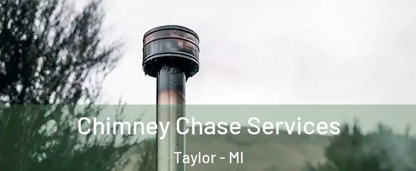  Chimney Chase Services Taylor - MI