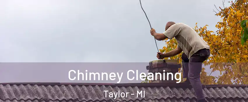  Chimney Cleaning Taylor - MI