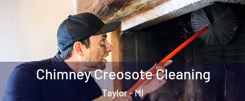  Chimney Creosote Cleaning Taylor - MI