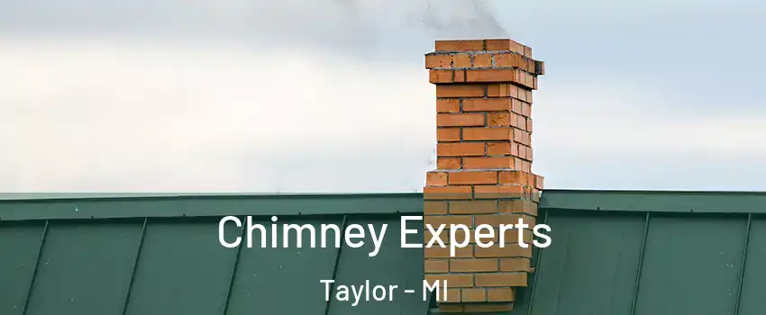 Chimney Experts Taylor - MI