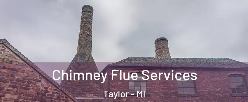  Chimney Flue Services Taylor - MI