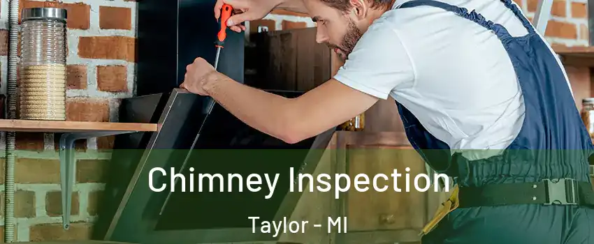  Chimney Inspection Taylor - MI