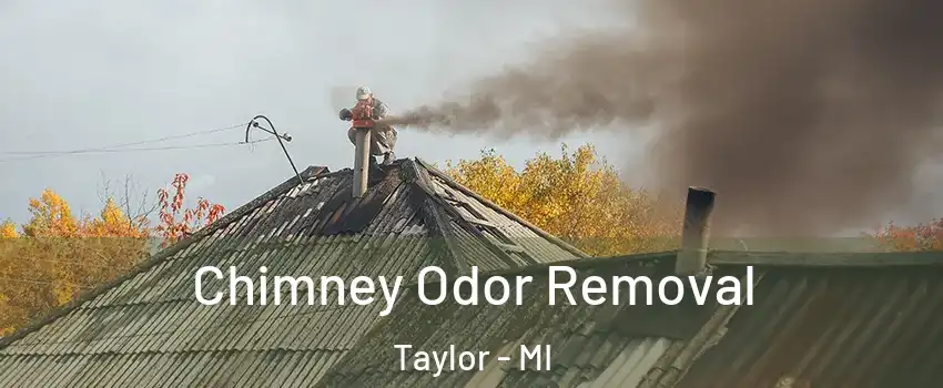  Chimney Odor Removal Taylor - MI
