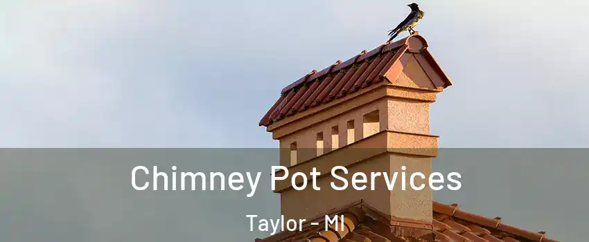 Chimney Pot Services Taylor - MI