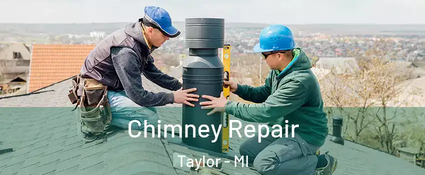  Chimney Repair Taylor - MI