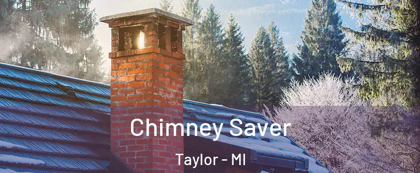  Chimney Saver Taylor - MI