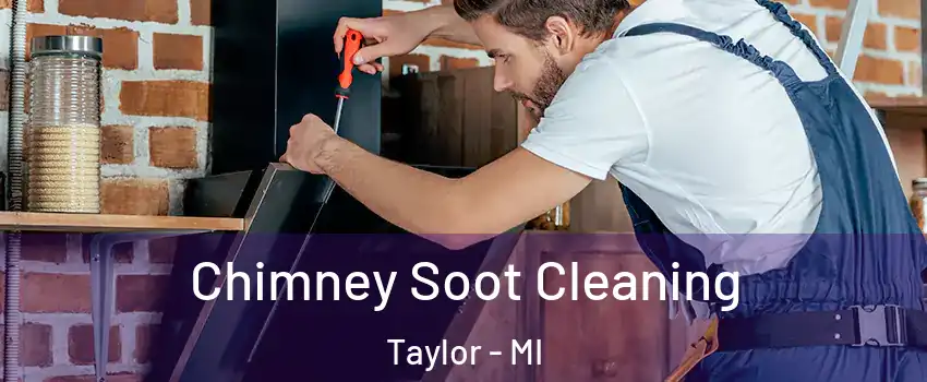  Chimney Soot Cleaning Taylor - MI