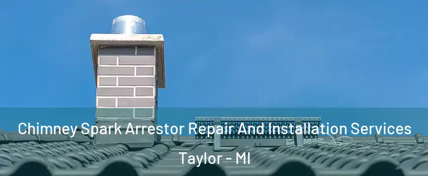  Chimney Spark Arrestor Repair And Installation Services Taylor - MI
