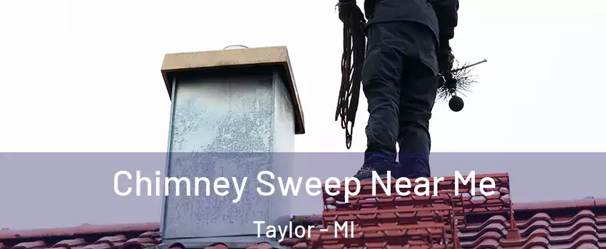  Chimney Sweep Near Me Taylor - MI