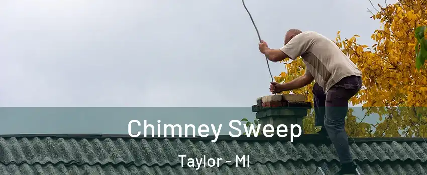  Chimney Sweep Taylor - MI