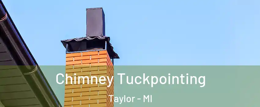 Chimney Tuckpointing Taylor - MI