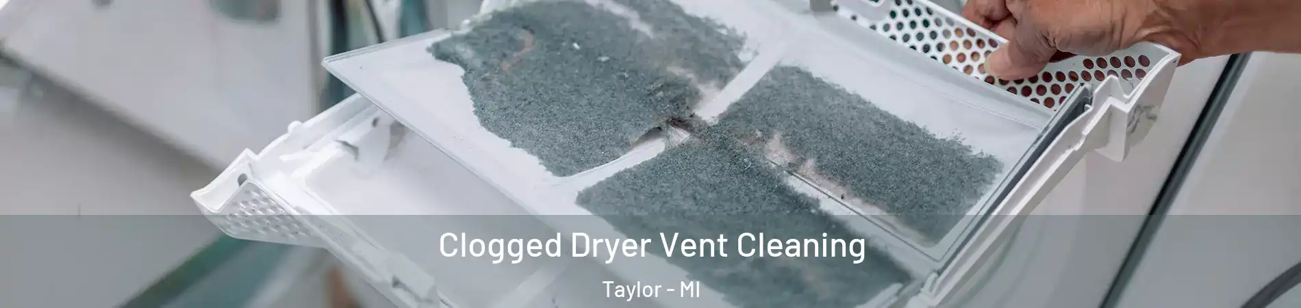  Clogged Dryer Vent Cleaning Taylor - MI