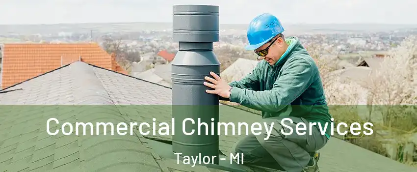  Commercial Chimney Services Taylor - MI