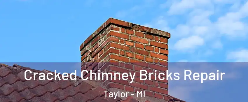  Cracked Chimney Bricks Repair Taylor - MI