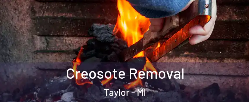 Creosote Removal Taylor - MI