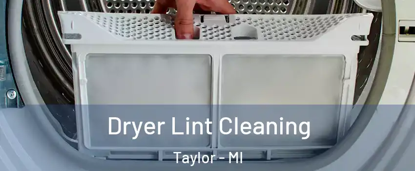  Dryer Lint Cleaning Taylor - MI