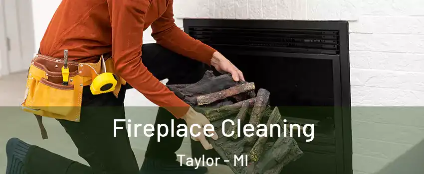  Fireplace Cleaning Taylor - MI