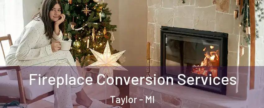 Fireplace Conversion Services Taylor - MI