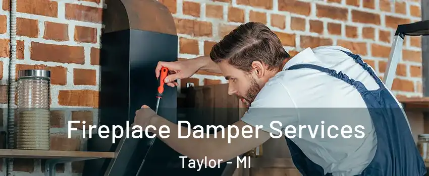  Fireplace Damper Services Taylor - MI