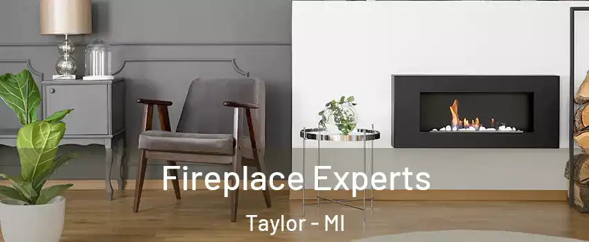  Fireplace Experts Taylor - MI