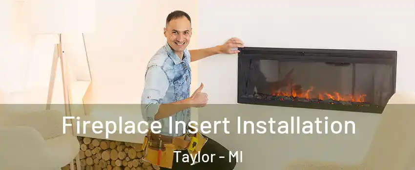  Fireplace Insert Installation Taylor - MI