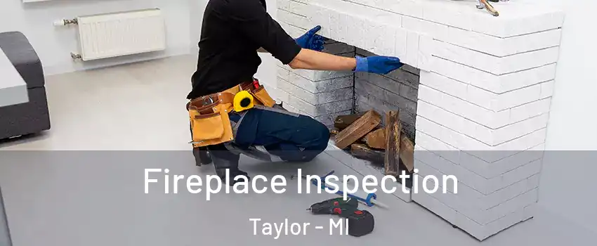  Fireplace Inspection Taylor - MI