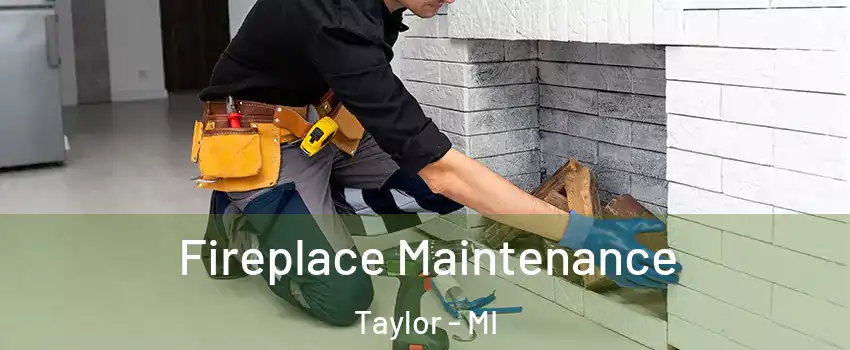  Fireplace Maintenance Taylor - MI