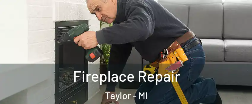  Fireplace Repair Taylor - MI
