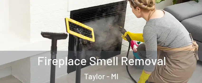  Fireplace Smell Removal Taylor - MI