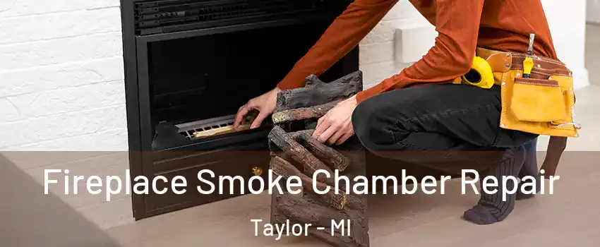  Fireplace Smoke Chamber Repair Taylor - MI