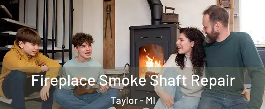  Fireplace Smoke Shaft Repair Taylor - MI