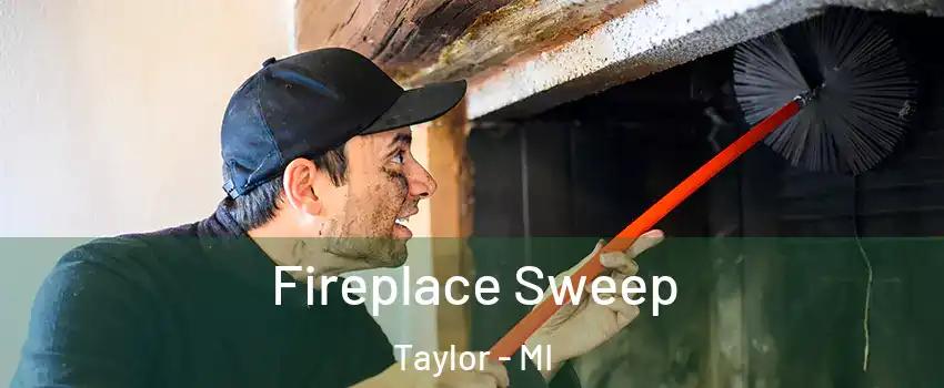  Fireplace Sweep Taylor - MI