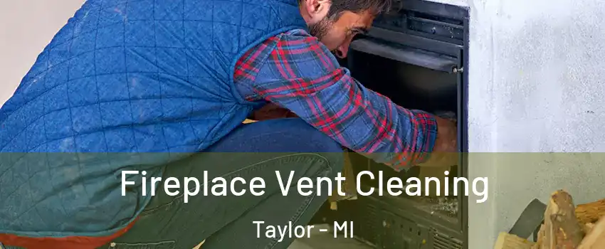  Fireplace Vent Cleaning Taylor - MI