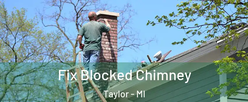  Fix Blocked Chimney Taylor - MI