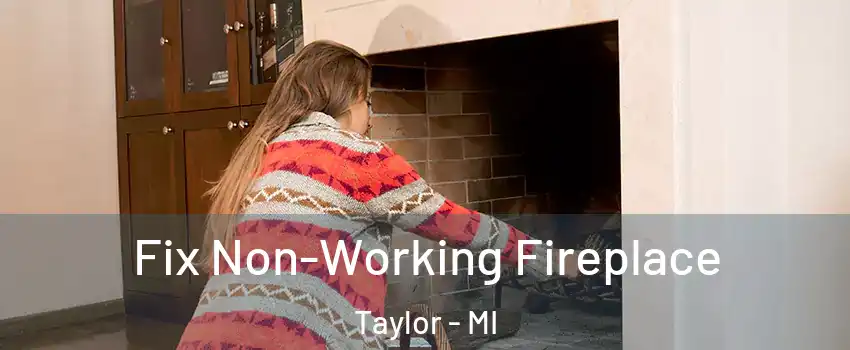  Fix Non-Working Fireplace Taylor - MI