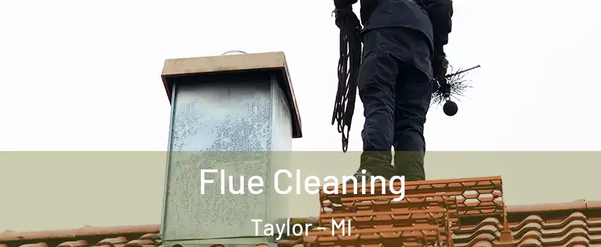  Flue Cleaning Taylor - MI