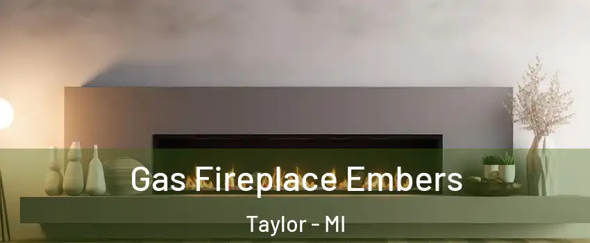  Gas Fireplace Embers Taylor - MI
