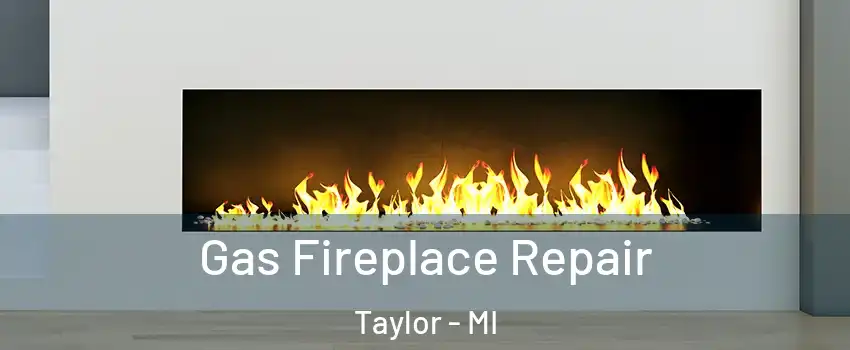 Gas Fireplace Repair Taylor - MI