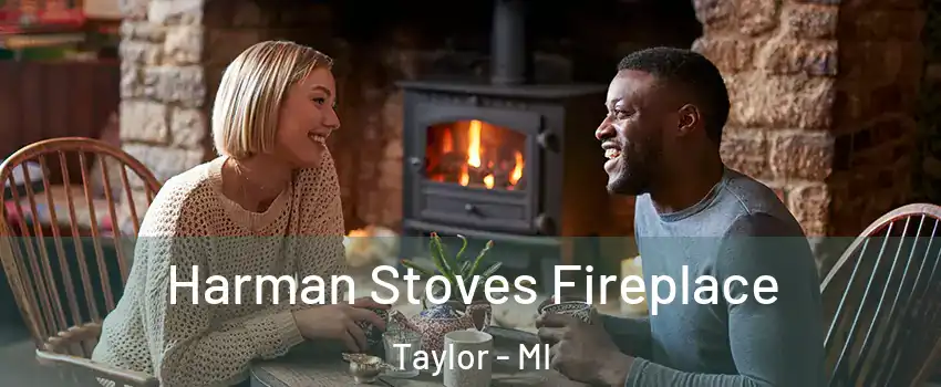  Harman Stoves Fireplace Taylor - MI