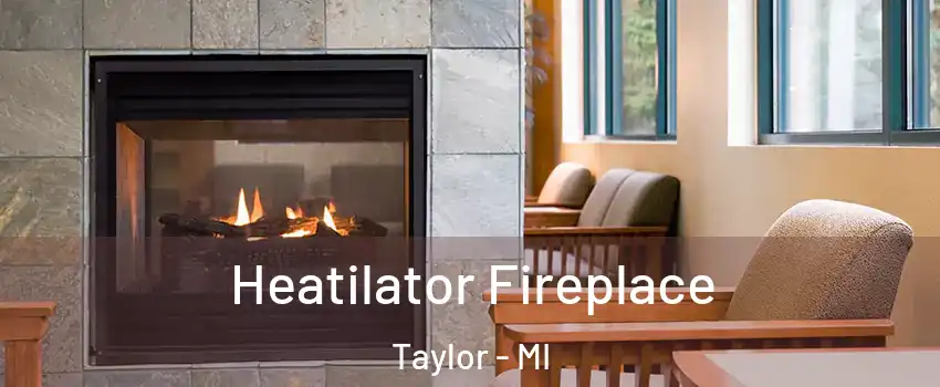  Heatilator Fireplace Taylor - MI