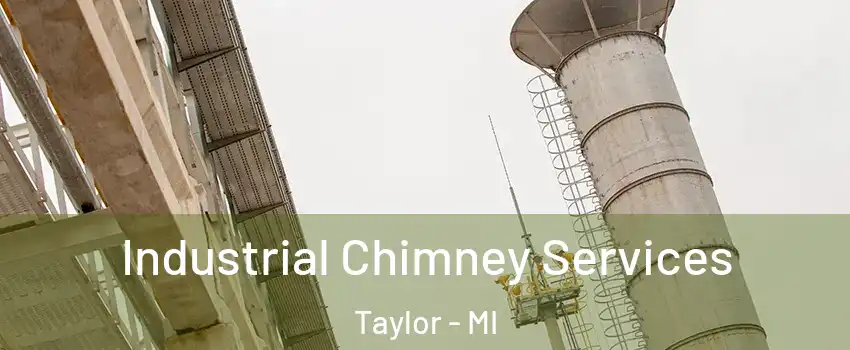  Industrial Chimney Services Taylor - MI