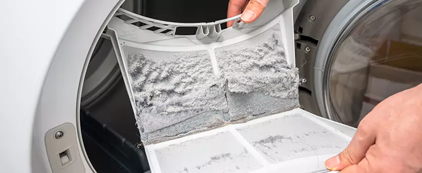 Best Dryer Lint Removal Company in Taylor, Michigan