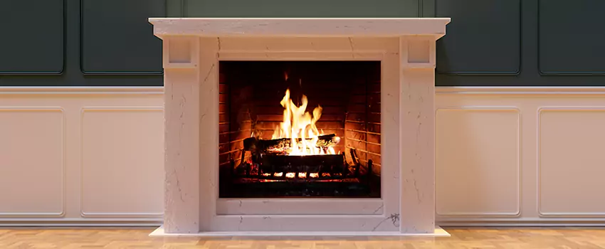 Empire Comfort Systems Fireplace Installation and Replacement in Taylor, Michigan