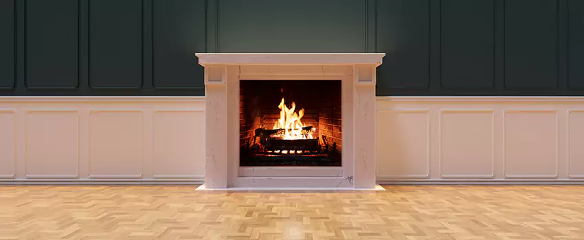 Napoleon Electric Fireplaces Inspection Service in Taylor, Michigan