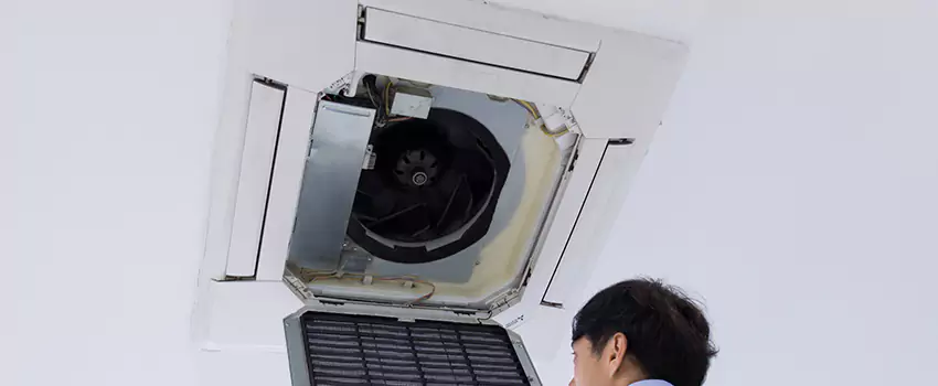 Benefits of Professional Air Duct Cleaning in Taylor, Michigan
